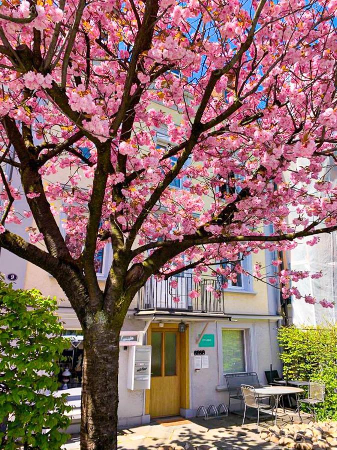 Citylodge St Gallen - 2 Min To Marktplatz Санкт Гален Екстериор снимка