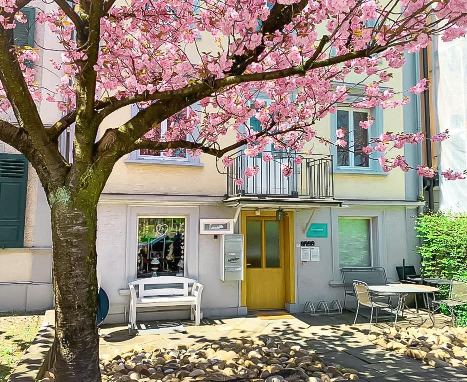 Citylodge St Gallen - 2 Min To Marktplatz Санкт Гален Екстериор снимка